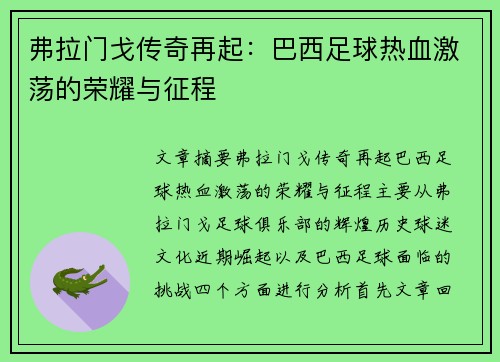 弗拉门戈传奇再起：巴西足球热血激荡的荣耀与征程
